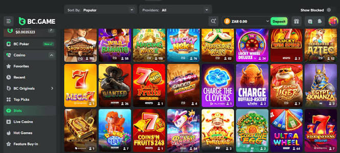 Maximize Your Wins A Comprehensive Guide to BC.Game Bonuses and Promo Codes -223896776